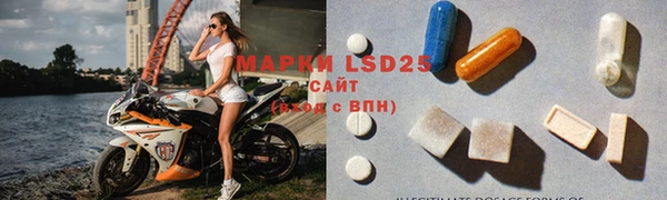 дживик Новозыбков