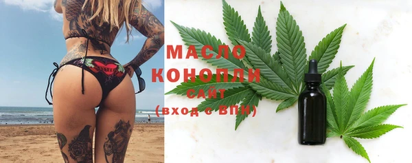 дживик Новозыбков