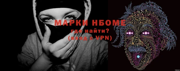 дживик Новозыбков