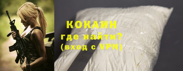 дживик Новозыбков