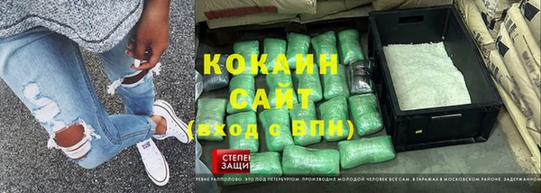 дживик Новозыбков