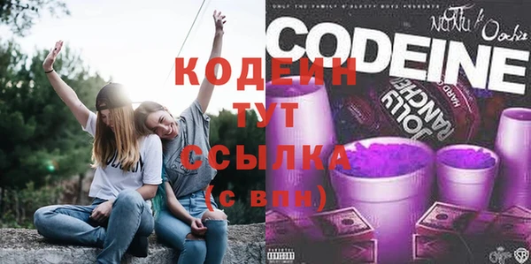 дживик Новозыбков