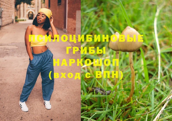 ГАЛЛЮЦИНОГЕННЫЕ ГРИБЫ Новодвинск