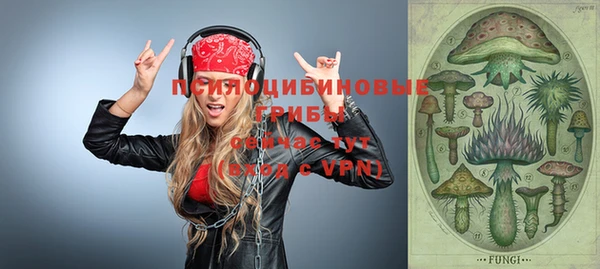 дживик Новозыбков
